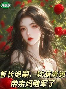 首长的宝宝