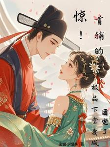 首辅佼娘