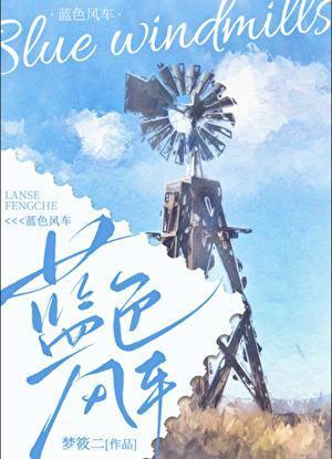 蓝色风车的寓意
