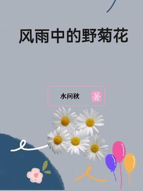 风雨中的菊花的含义是什么