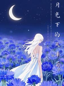 月光下的真实