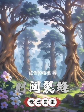 时间裂缝电视剧