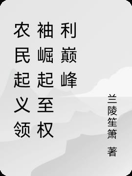 农民起义的架空