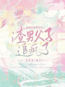 你老婆又跑了 番外