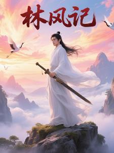 林风记者被打