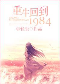 重生回到1984年的完结沙雕动画