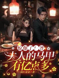 夫人马甲又轰动全球了免费阅读