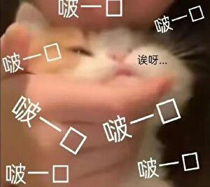 而后乃今将图南