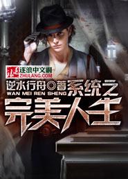 完美系统txt