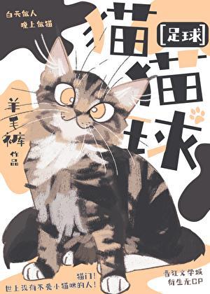 足球猫猫球by羊毛裤免费阅读