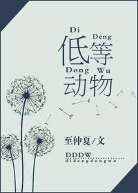 低等动物歌词完整版