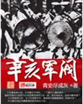 辛亥军阀TXT爱奇电子书