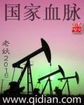 国家血脉1-40集免费观看