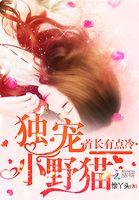 首长的小野猫