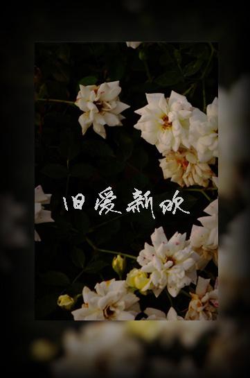 旧爱新欢蒋幕周