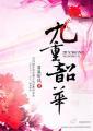 九重韶华_看泉听风
