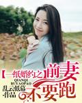 总裁的一纸婚约前妻