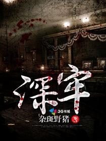 深牢2奇怪的门