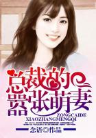 总裁的天价萌妻奇满屋下拉式