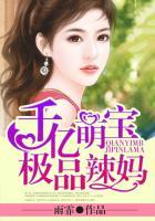 千亿萌宝极品辣妈无弹窗阅读