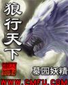 狼行天下鱼竿
