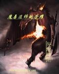法师的荣耀全集