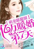 萌妻甜甜圈亿万暖婚第七天免费