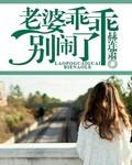 乖乖老婆别闹了txt