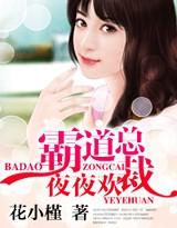 霸道总裁夜夜欢电视剧免费观看