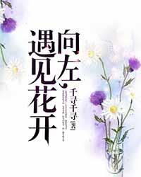 遇见向左走向右走电影主题插曲