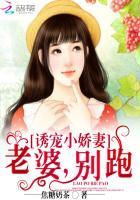诱宠小妻子
