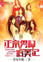 男神追妻指南奇妙屋