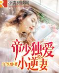 帝少的致命软肋独爱小萌妻