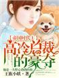 高冷总裁的豪夺 王族小妖
