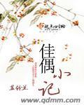 佳偶婚成全文免费阅读