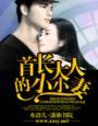 首长大人小媳妇