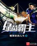 绿茵风暴