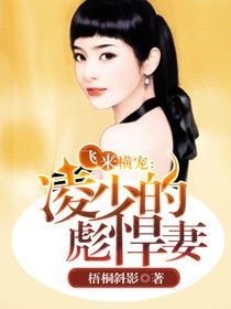 飞来横犬无弹窗