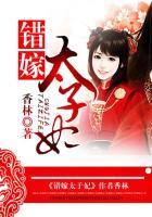 错嫁太子妃原著