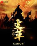 变革的内容
