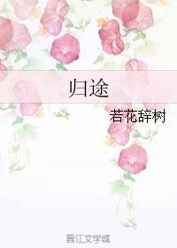 归途如虹是哪一年拍的