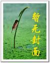 天价婚约霸道机长请离婚
