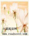 妃常特工王爷请负责免费阅读