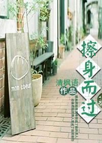 擦身而过林心如mv