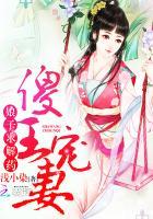 傻子王妃免费阅读全文