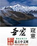 圣宠宠物官网投诉电话