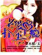 老婆吻你上瘾全文免费