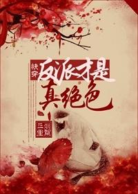 反派才是真绝色穿书