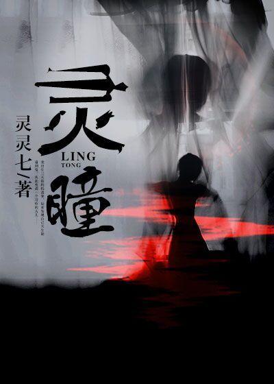 灵瞳智能