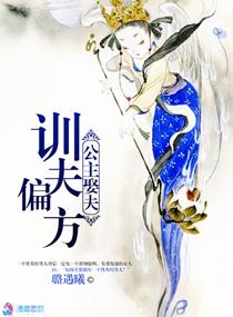 公主t夫